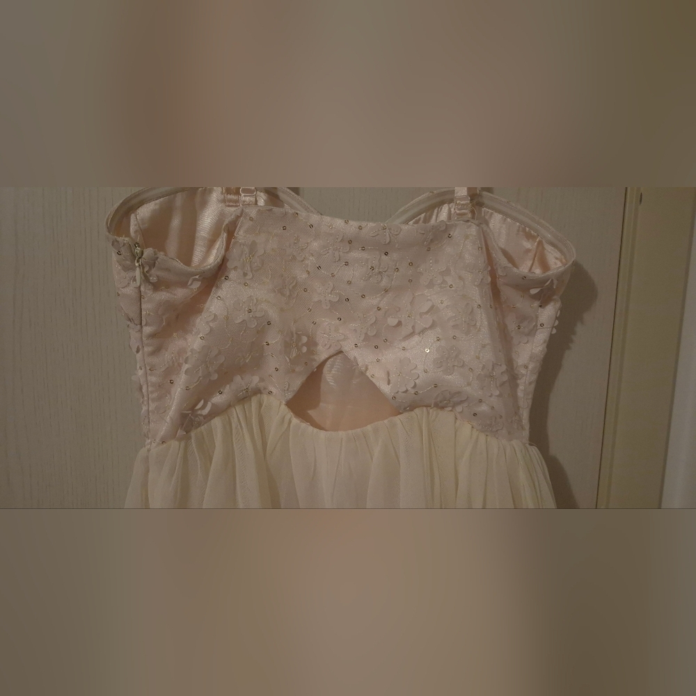 Parisian Collection Lace & Tulle Party Dress — Blush Champagne (Size S/P) - Picture 4 of 7